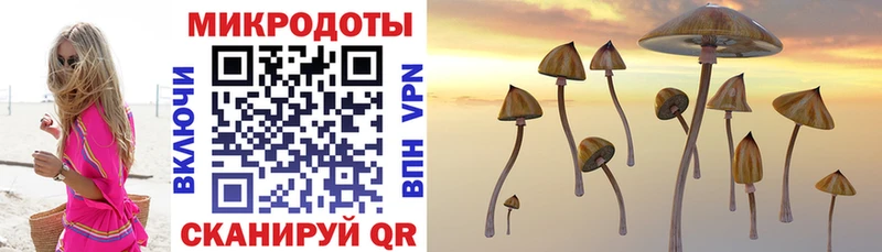 Псилоцибиновые грибы Psilocybine cubensis  где купить наркоту  Пустошка 