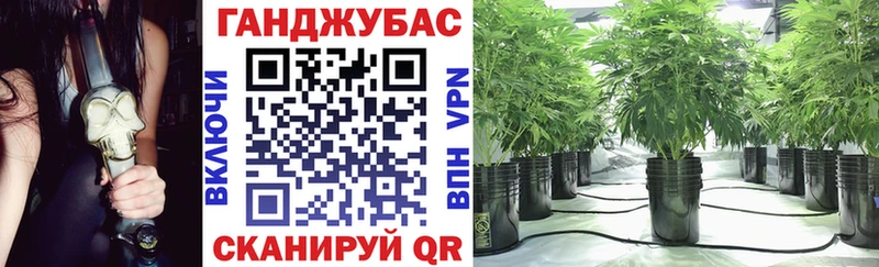 Конопля Ganja  Пустошка 
